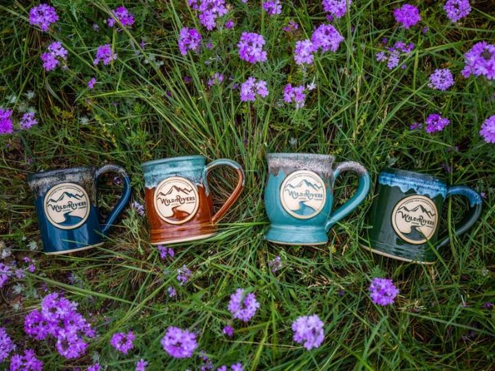 Four coffee mugs with logos laying in the grass surrounded by purple wild flowers.